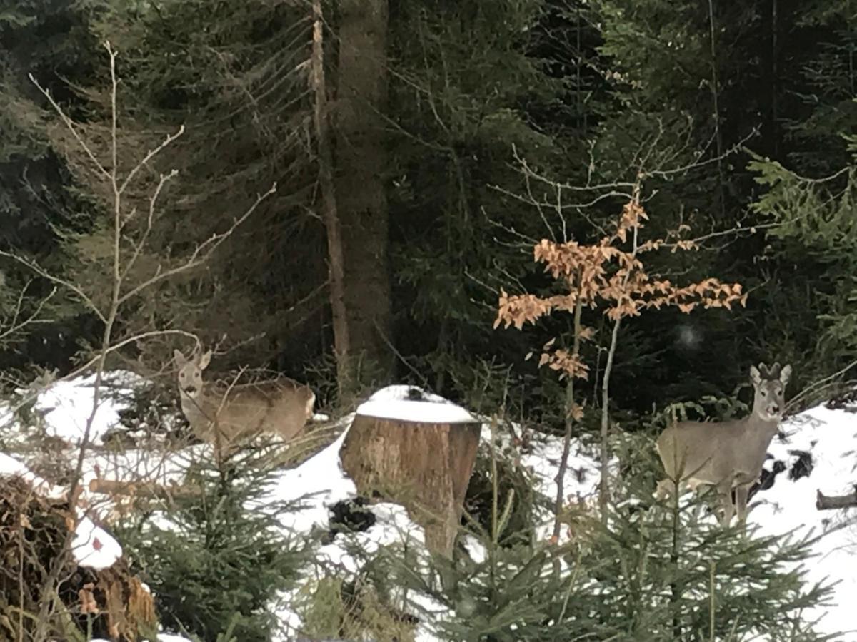 فيلا Chata Pod Skocznia Wisla Malinka الغرفة الصورة